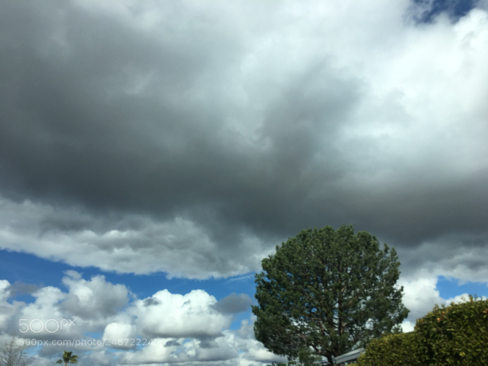Apple iPhone 6s sample photo. Untitled photography