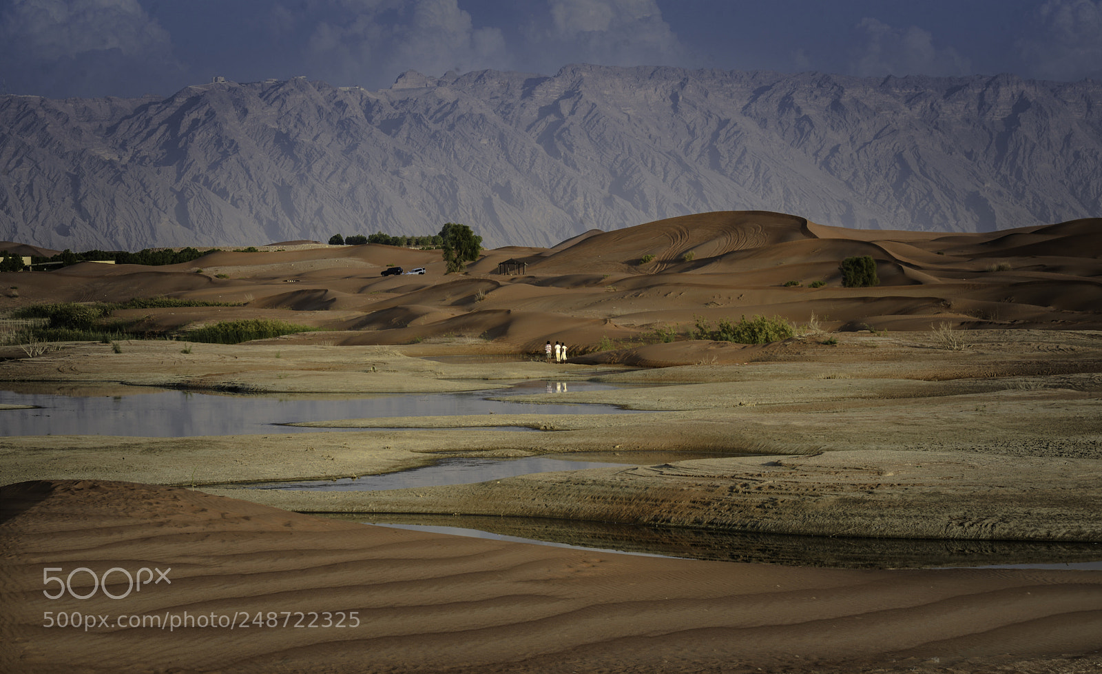 Nikon D600 sample photo. Lake in the desert photography