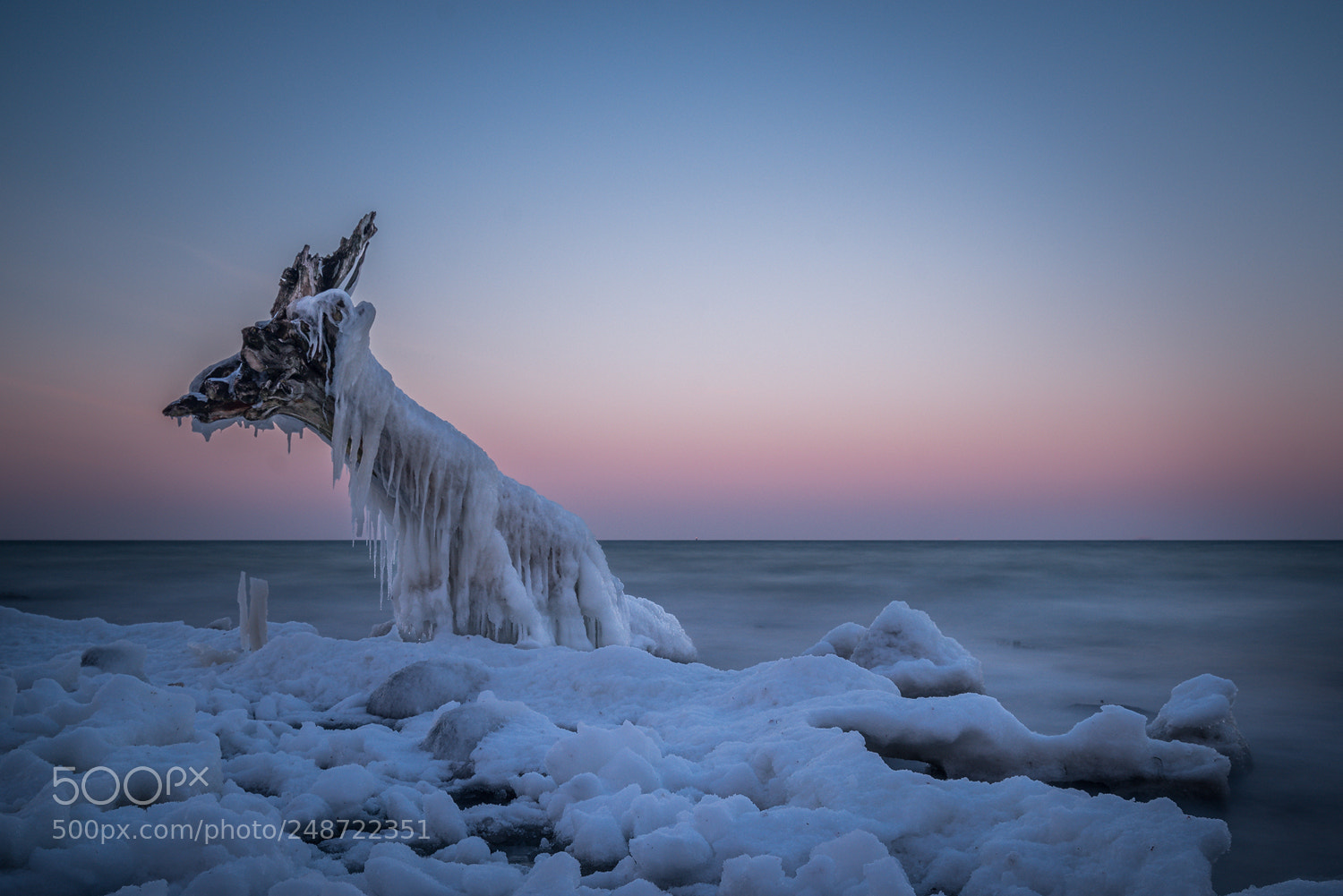 Sony a7R sample photo. Fallen tree in icy photography