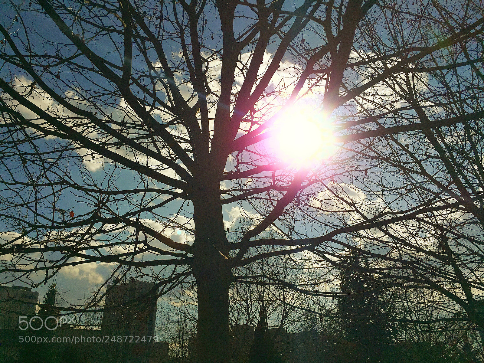 Apple iPhone 6 sample photo. That sun ❤️ photography