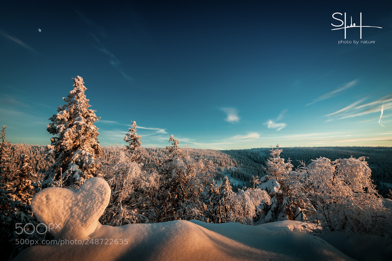 Nikon D300 sample photo. Ein herz im schnee photography