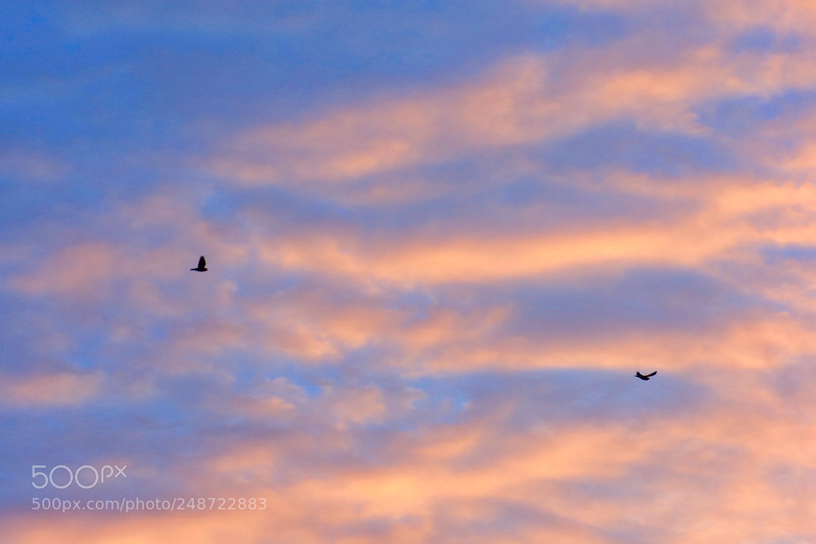 Nikon D3400 sample photo. First flight of the photography