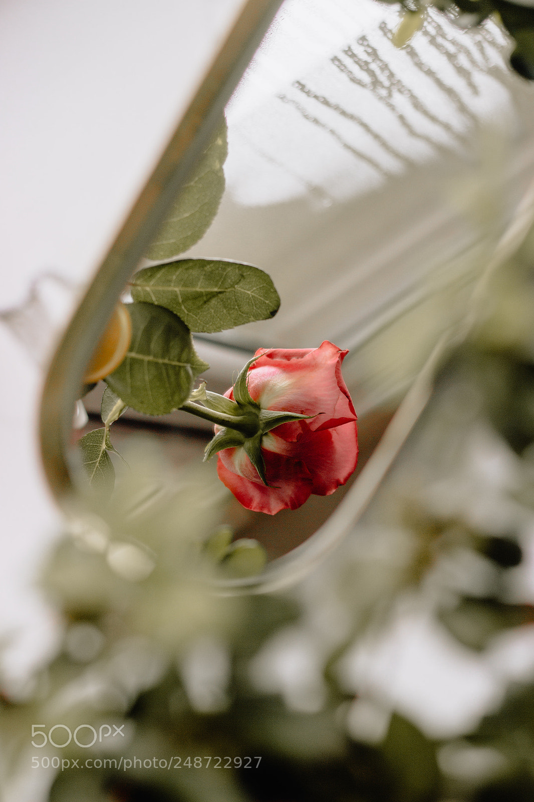 Canon EOS 600D (Rebel EOS T3i / EOS Kiss X5) sample photo. Mirror photography