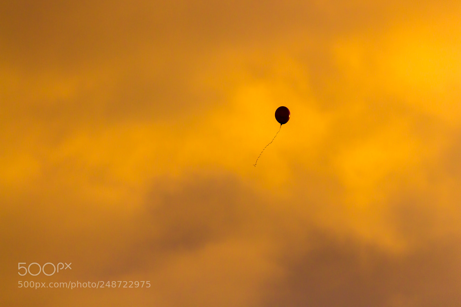 Canon EOS 7D sample photo. Just floating on by... photography
