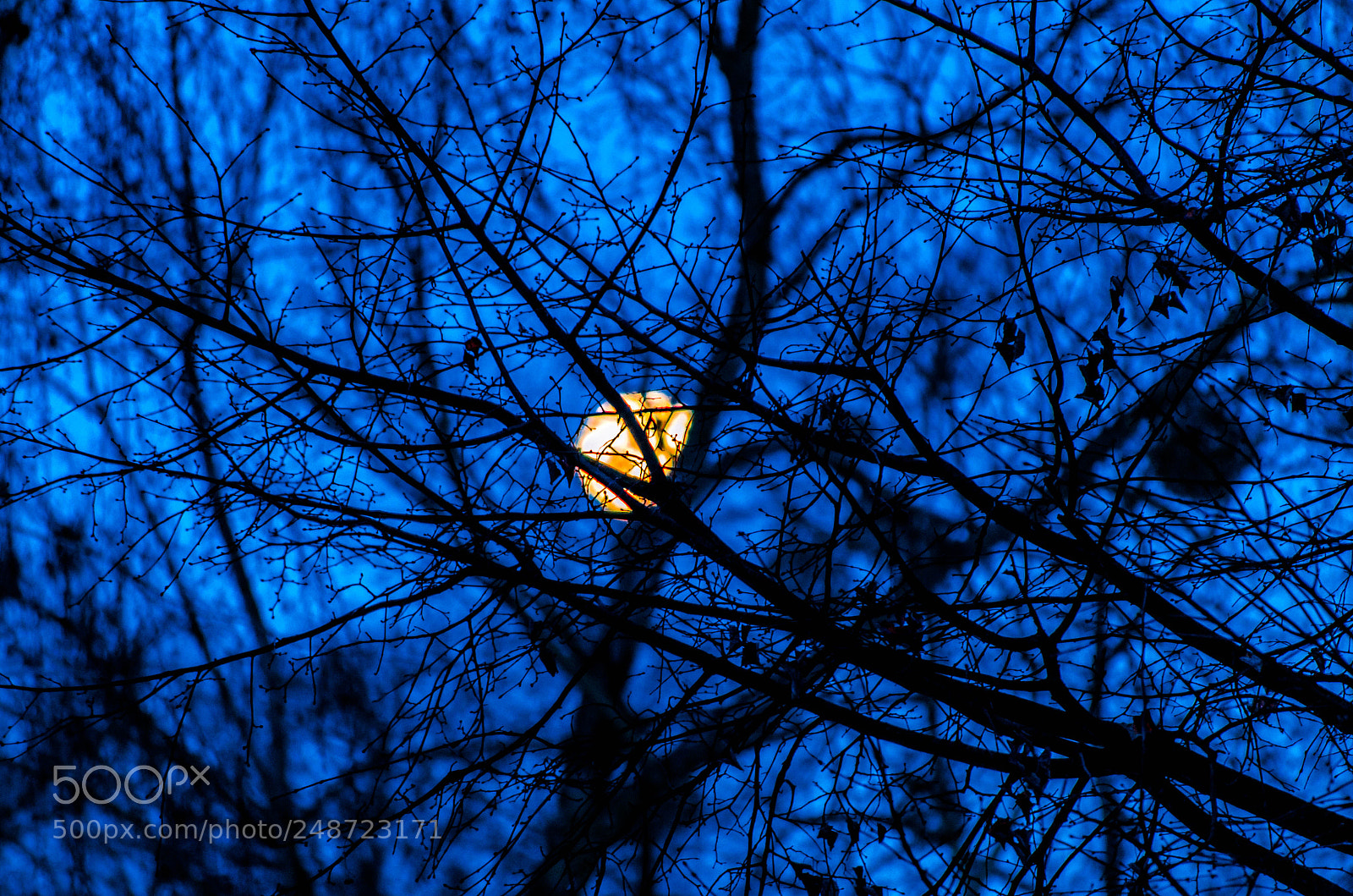 Nikon D5100 sample photo. Untitled photography