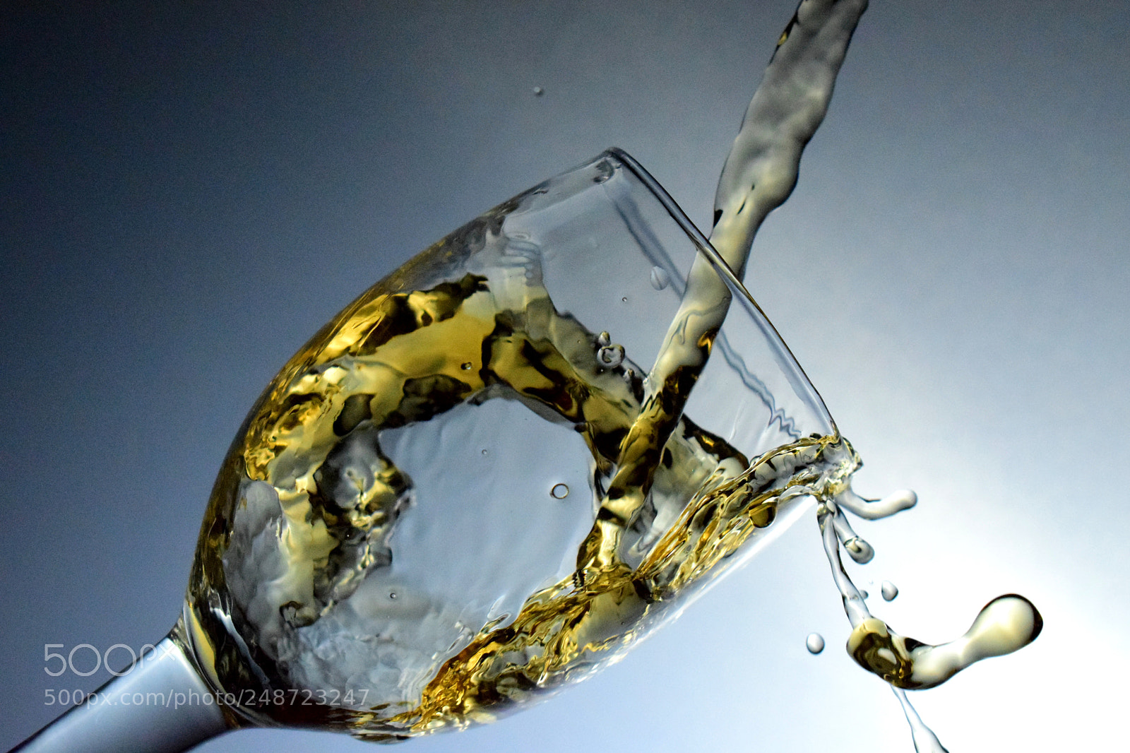 Nikon D5300 sample photo. Untitled photography