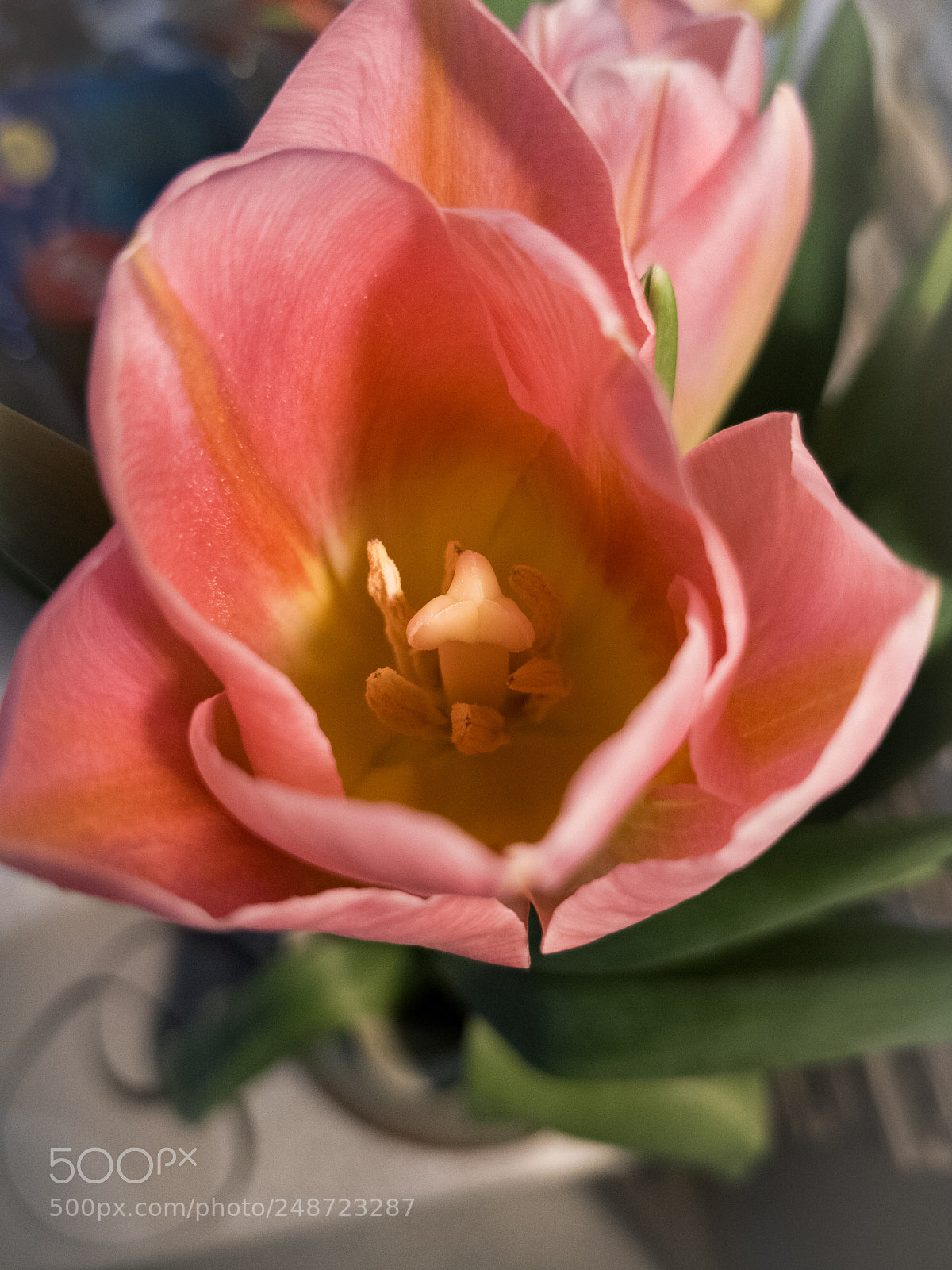OnePlus 5T sample photo. Untitled photography