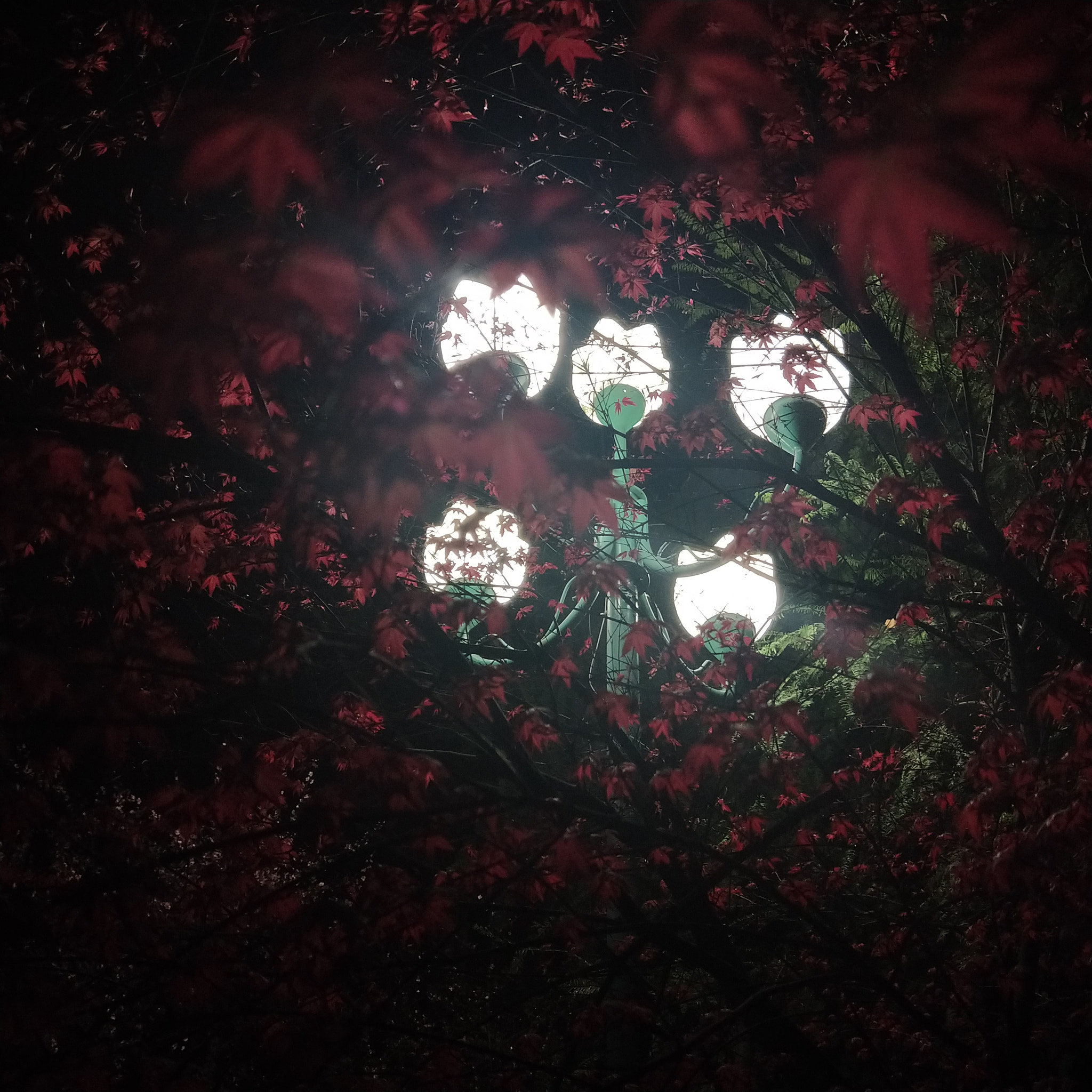 OPPO R11 sample photo. Night photography