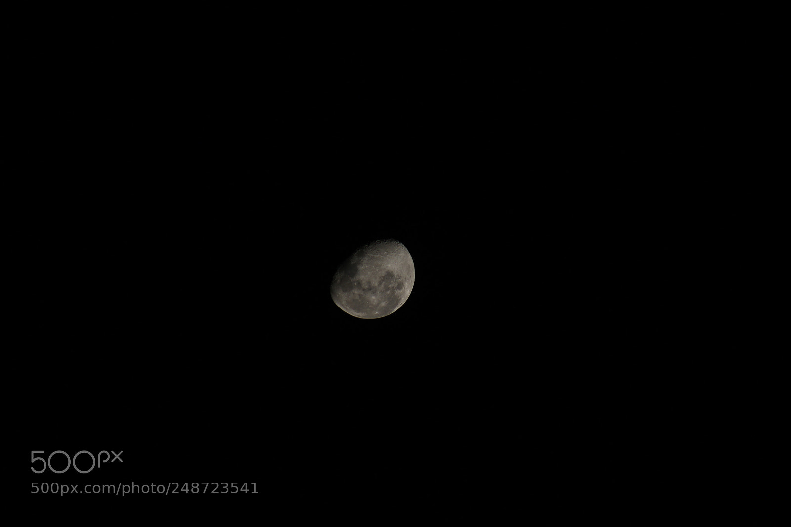 Canon EF 75-300mm f/4-5.6 sample photo. Paixão photography