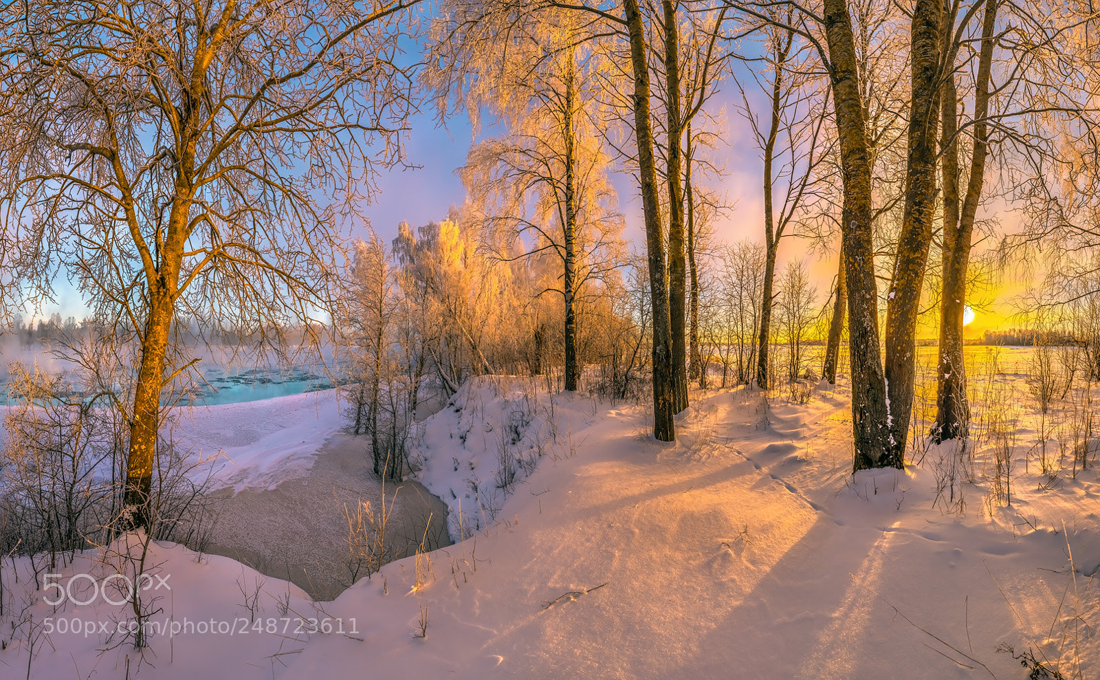 Pentax 645Z sample photo. Forest on the river photography