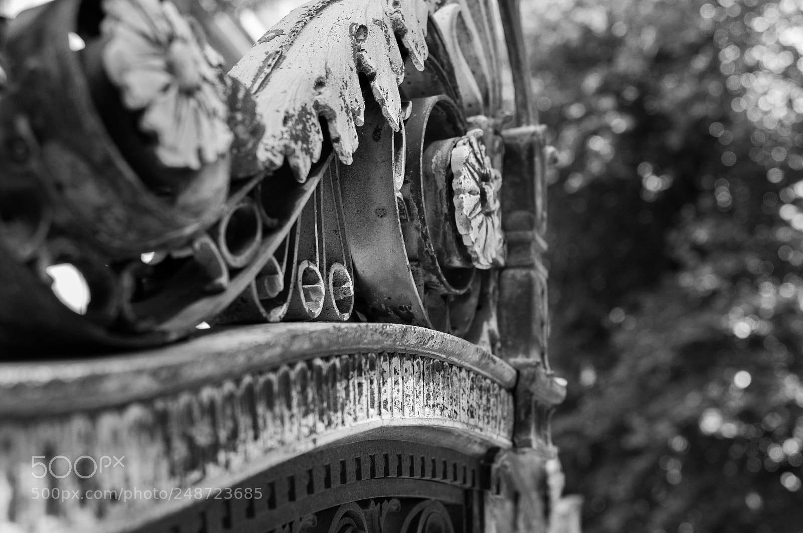 Nikon D300 sample photo. . photography