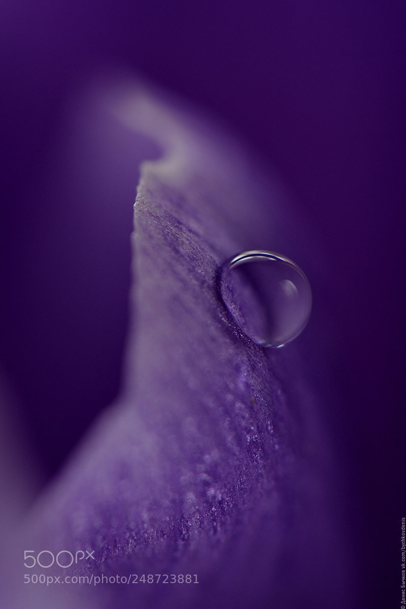 Nikon D700 sample photo. *** photography