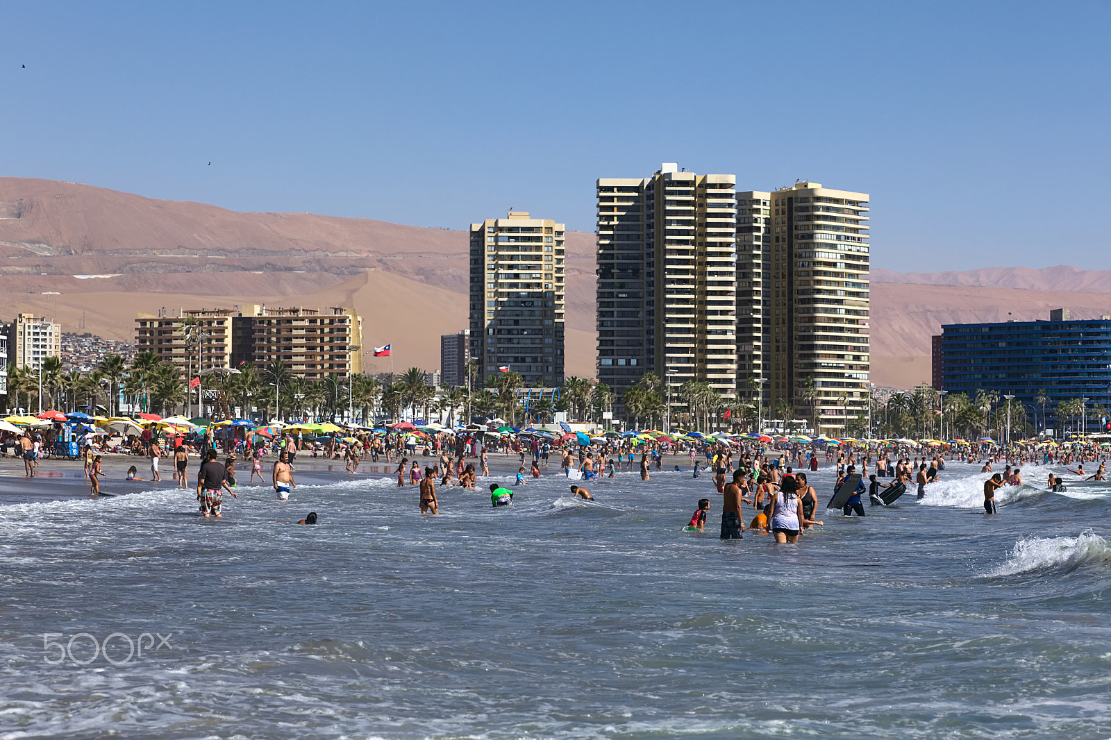 Canon EOS 5D Mark II + Canon EF 85mm F1.8 USM sample photo. Cavancha beach in iquique, chile photography