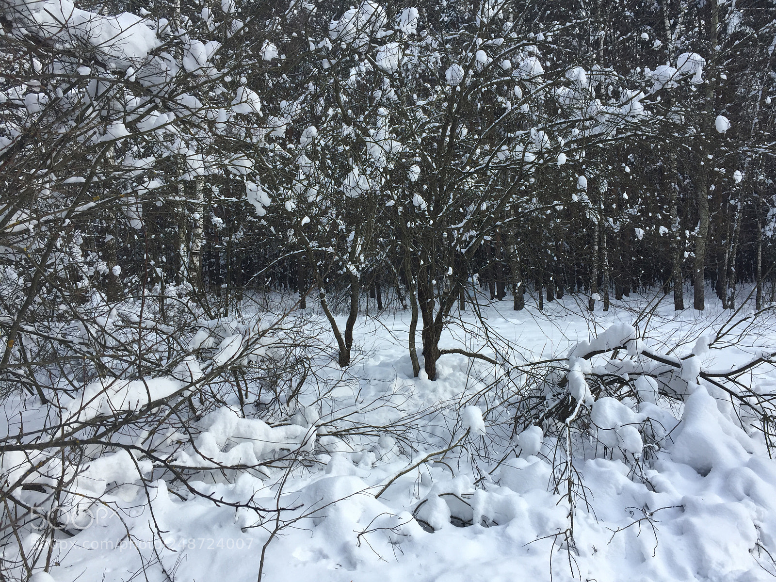 Apple iPhone 6 sample photo. Эх ты зимушка-зима photography