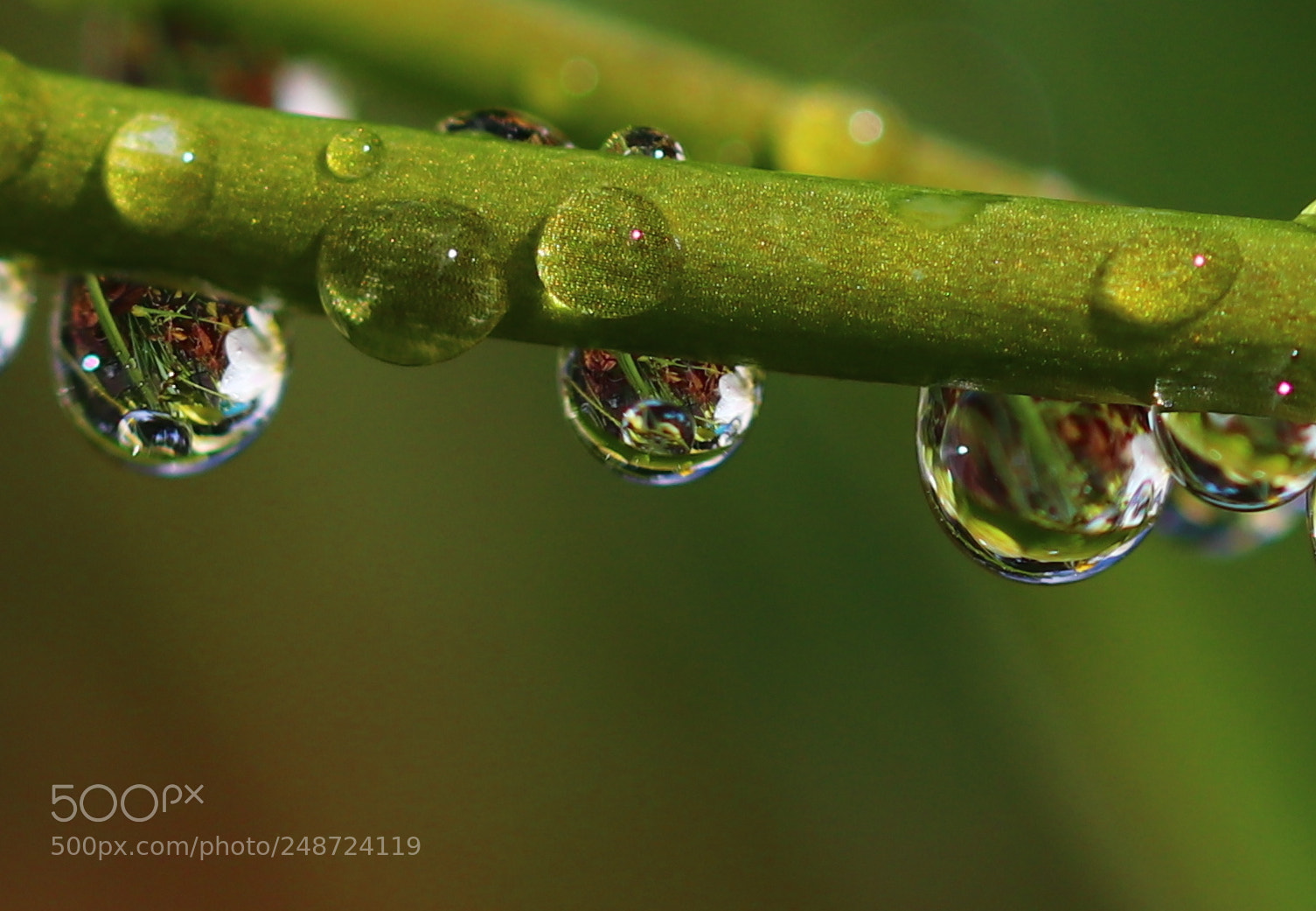 Canon EOS 80D sample photo. After the rain photography