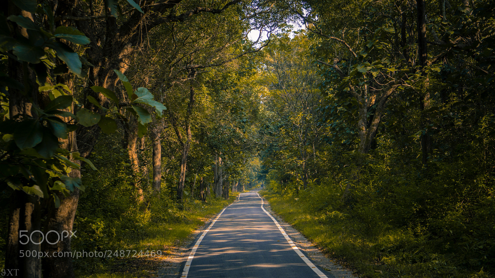 Sony a6000 sample photo. Roadway to heaven jim photography