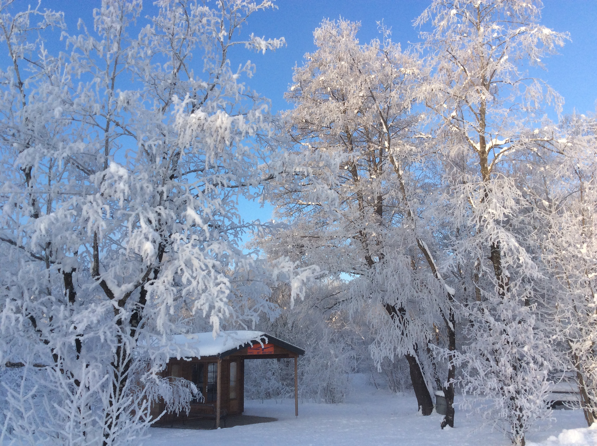 Apple iPad Air sample photo. Zu hause photography