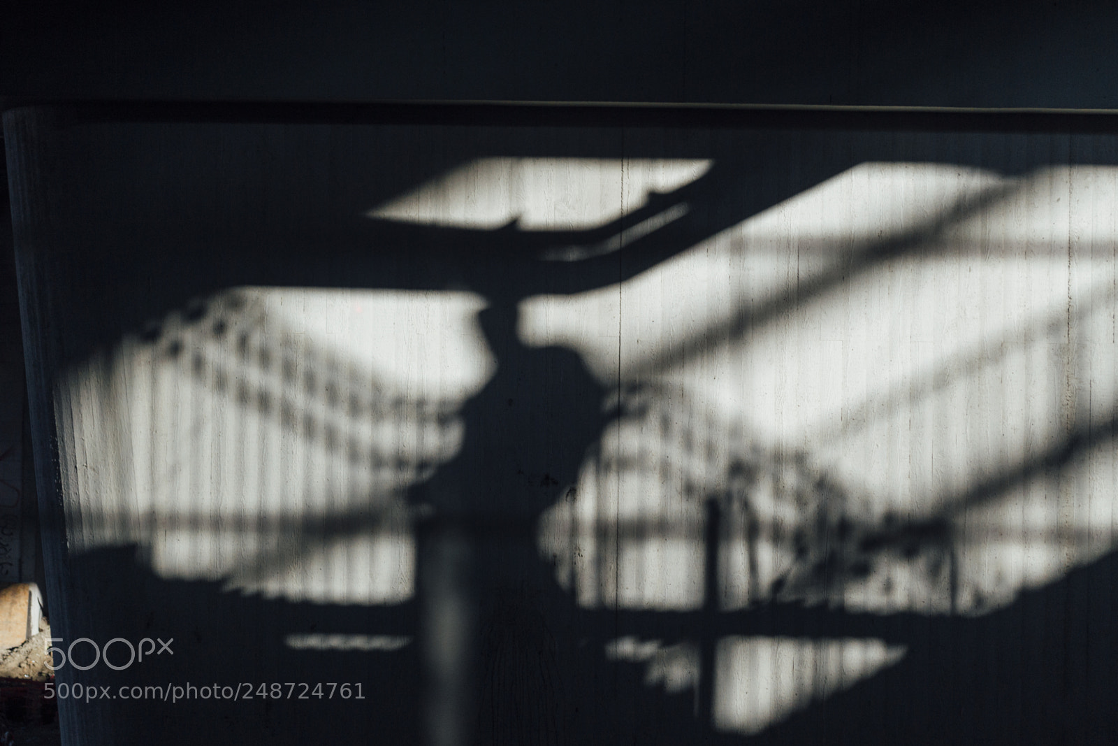 Nikon D3100 sample photo. Shadow play photography