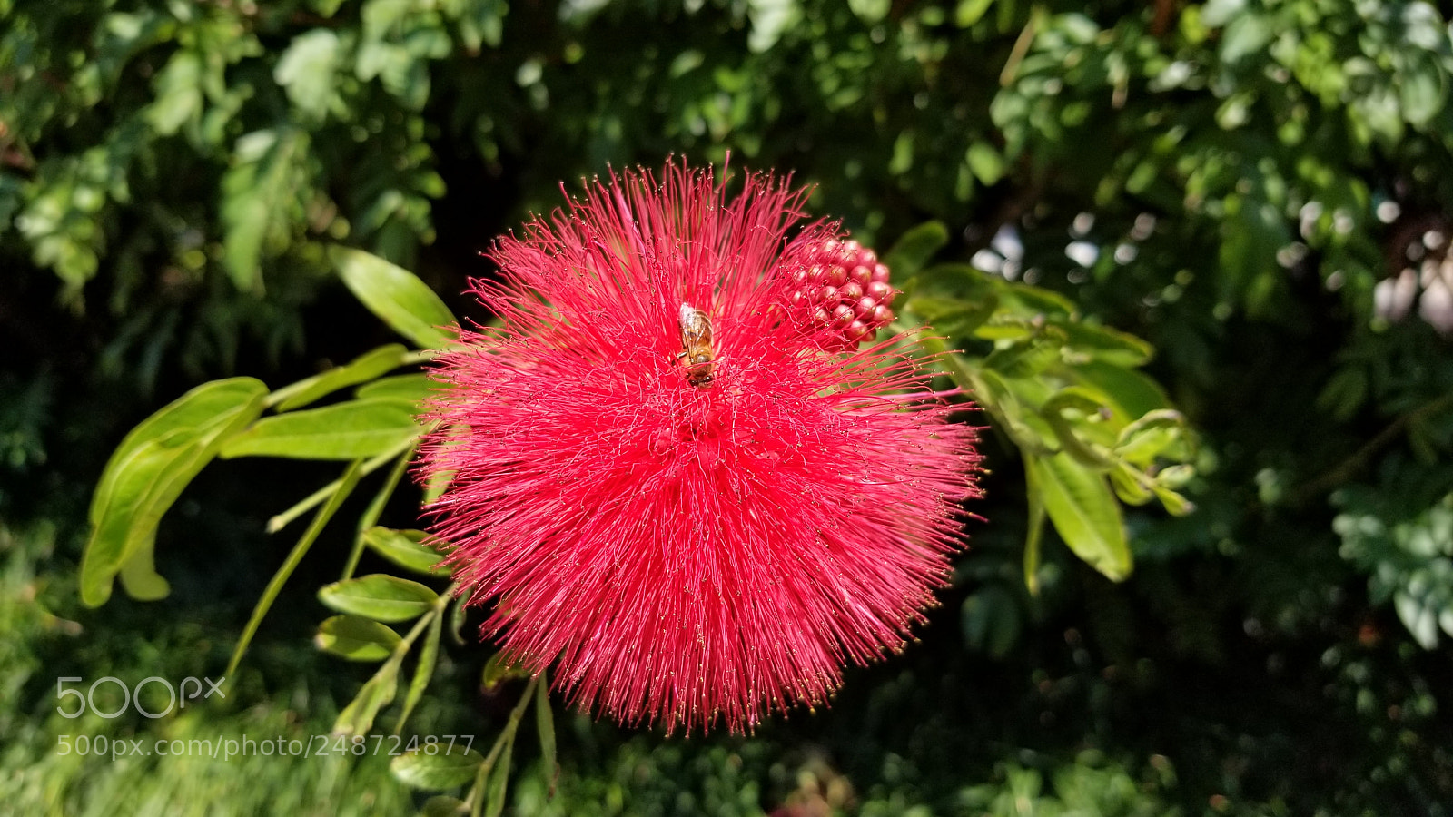 Samsung Galaxy S8 sample photo. Untitled photography