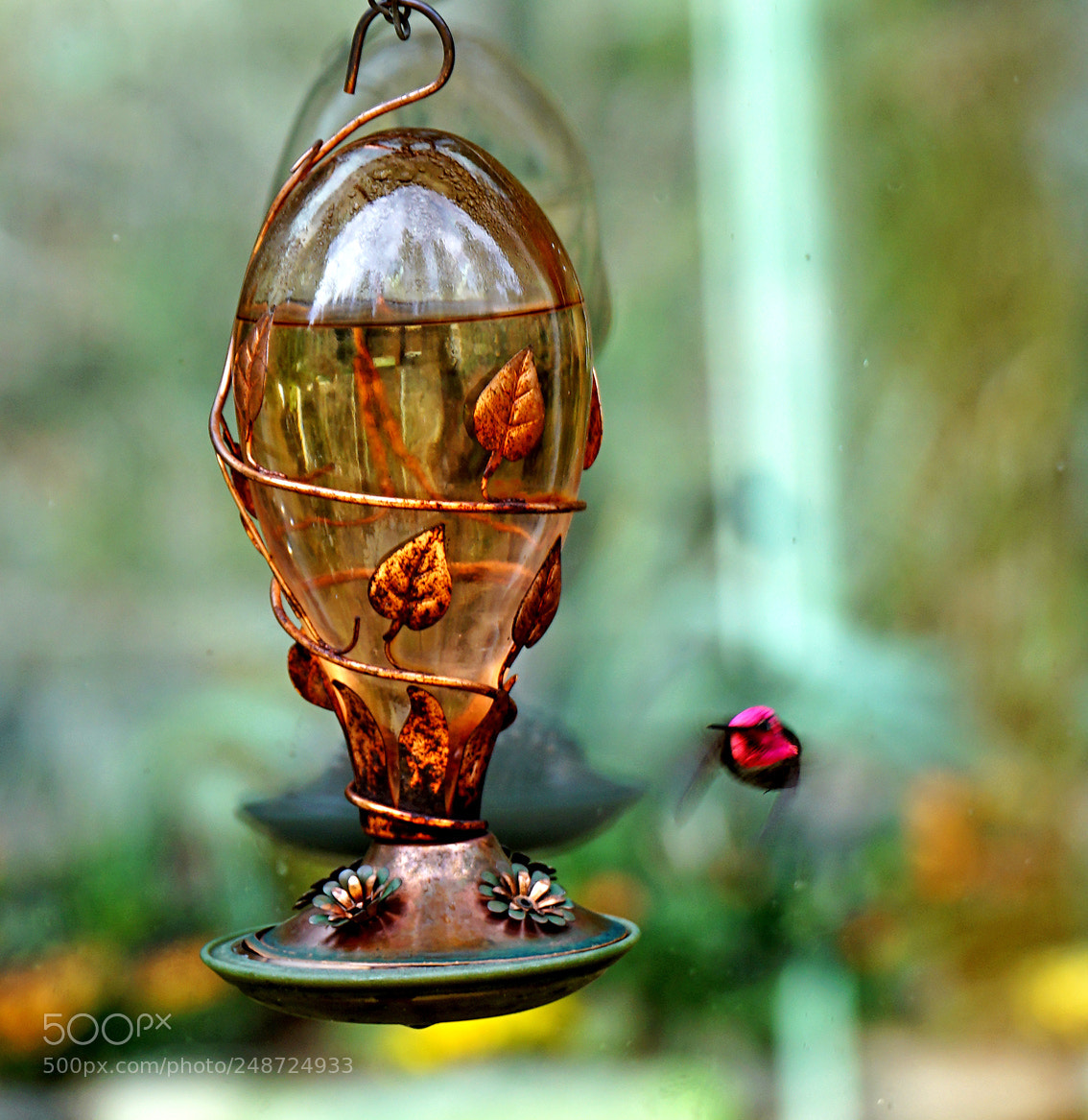 Sony a7R II sample photo. Untitled photography
