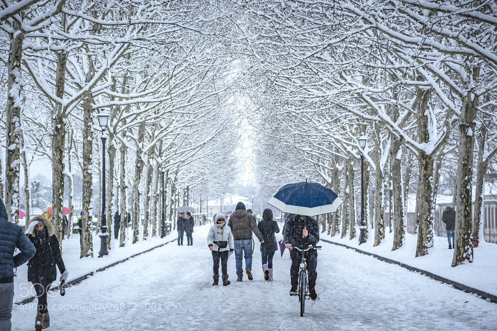 Nikon D7100 sample photo. Lucca under the snow photography