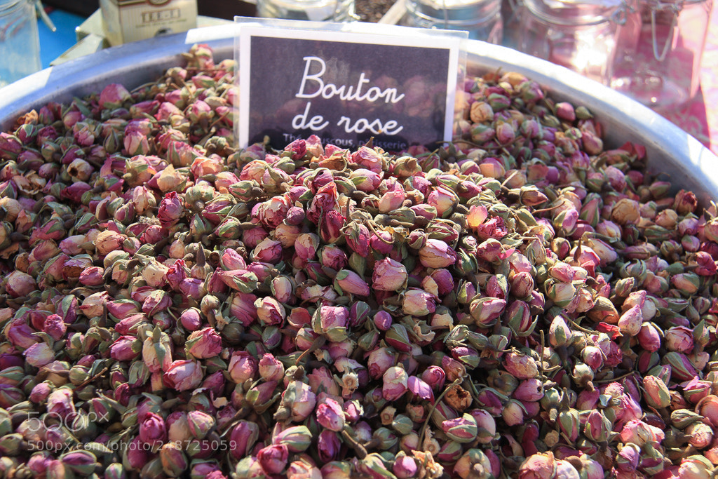 Canon EOS 7D sample photo. Bouton de rose photography