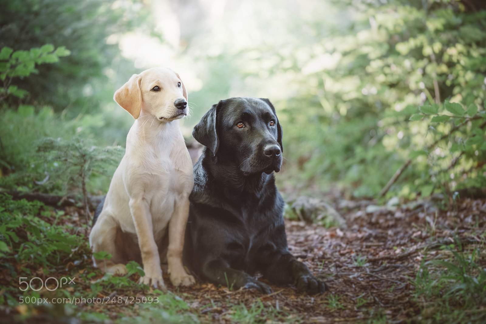 Fujifilm X-T2 sample photo. Bettina gaigg (von ) photography