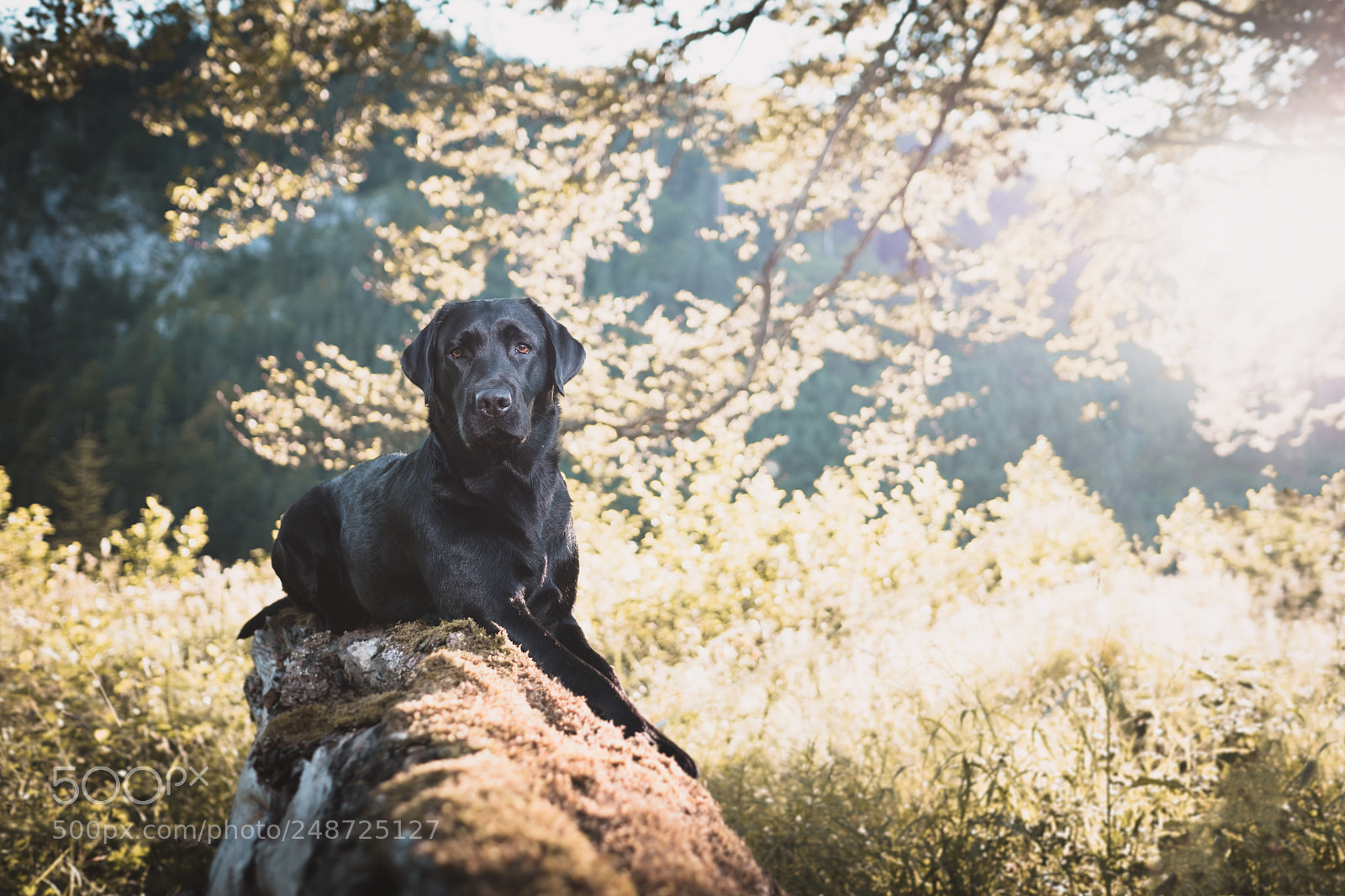Fujifilm X-T2 sample photo. Bettina gaigg (von ) bearbeitet photography