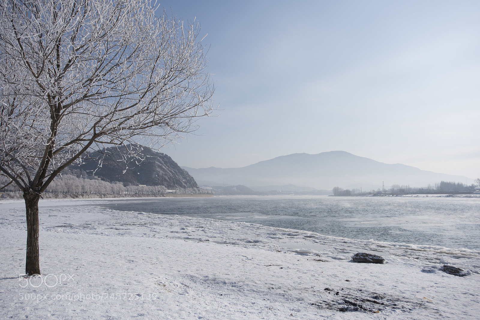 Nikon D810 sample photo. A quiet morning photography