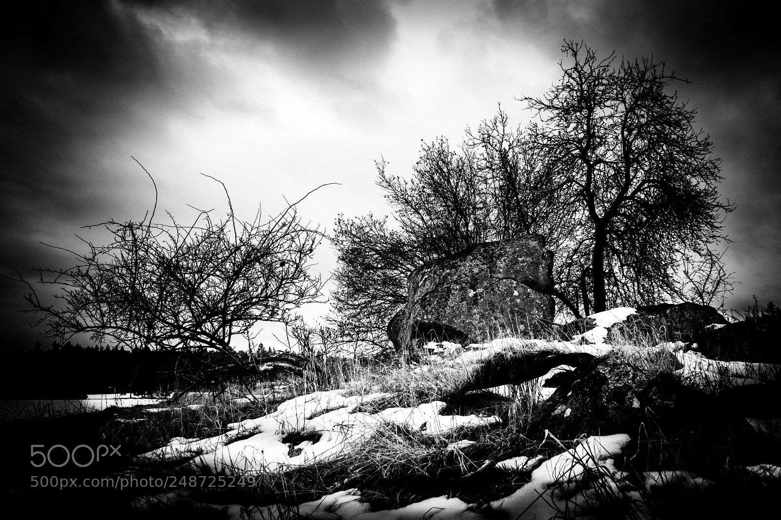 Sony ILCA-77M2 sample photo. Last traces of winter photography