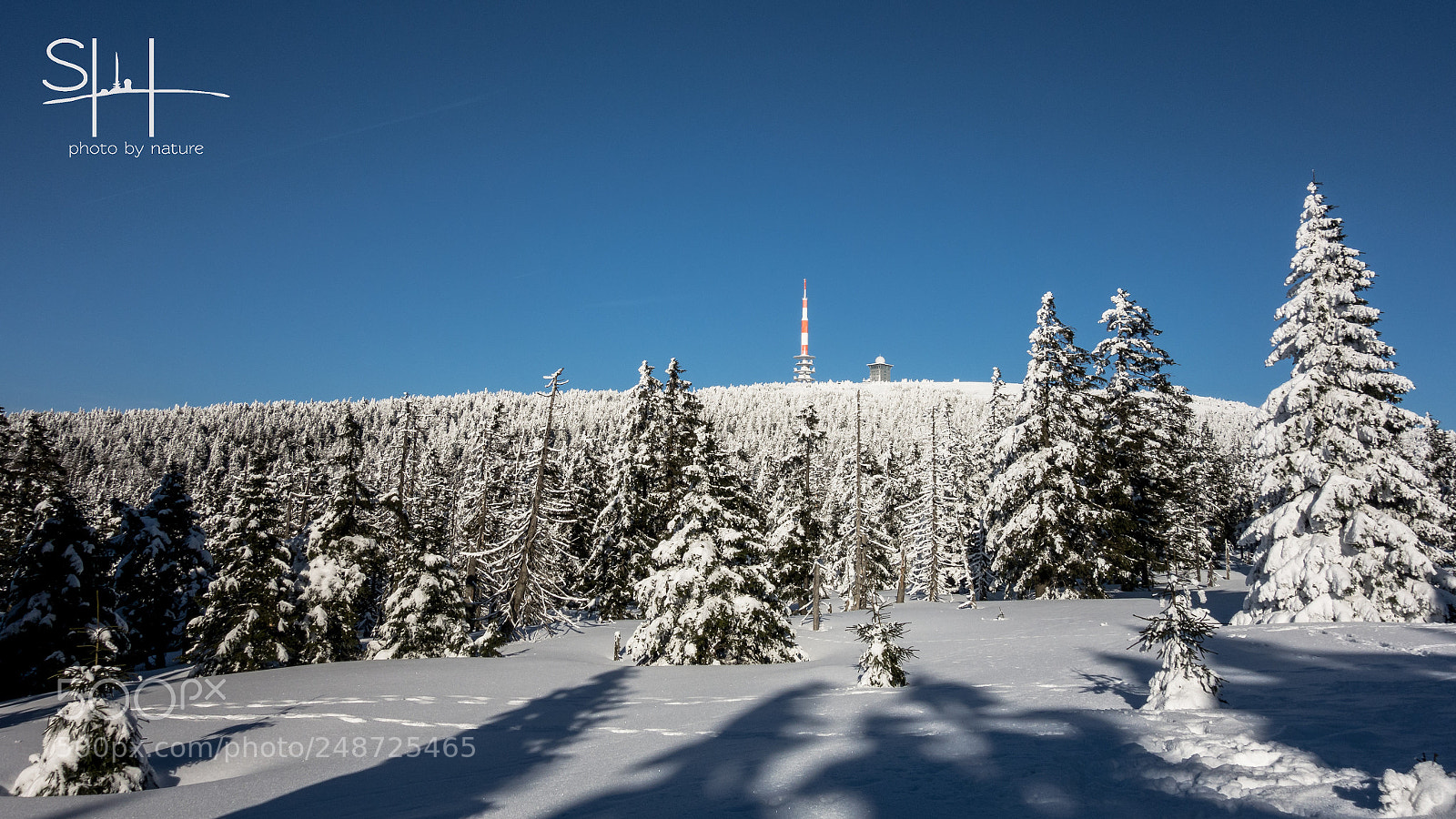 Sony Cyber-shot DSC-RX100 sample photo. Aufstieg zum brocken photography