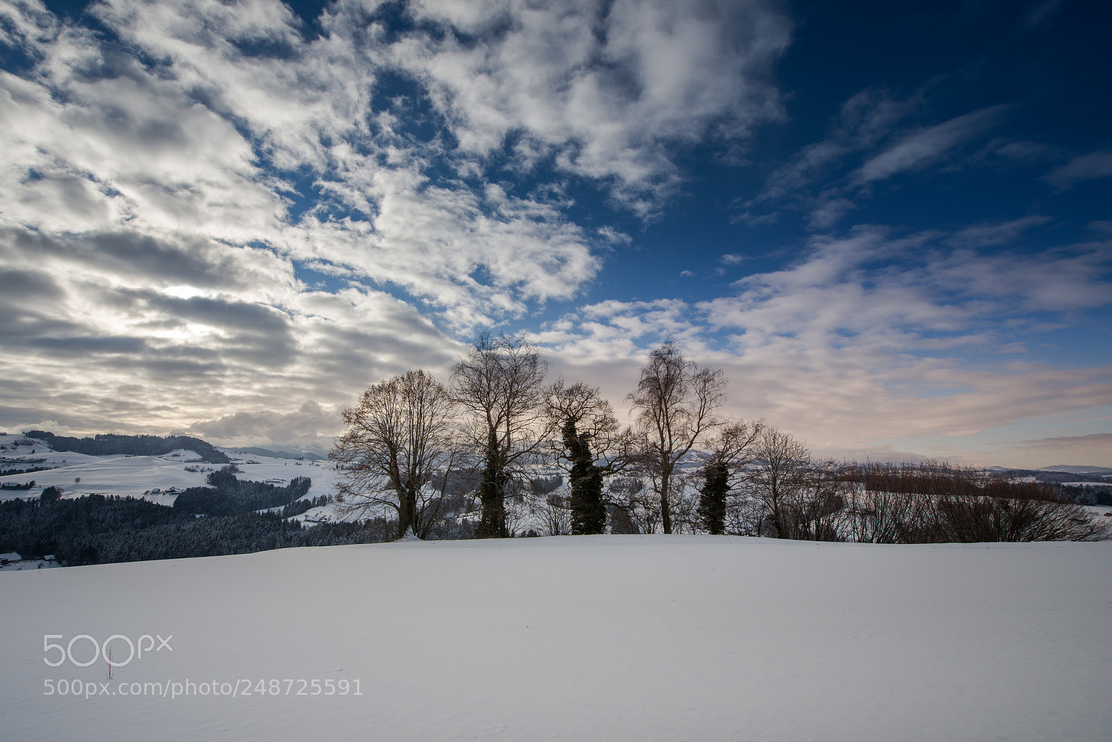 Nikon D600 sample photo. Winter morning photography