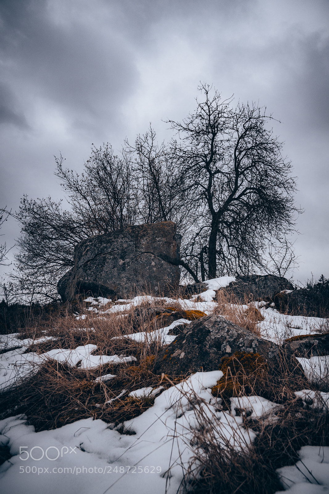 Sony ILCA-77M2 sample photo. Last traces of winter photography