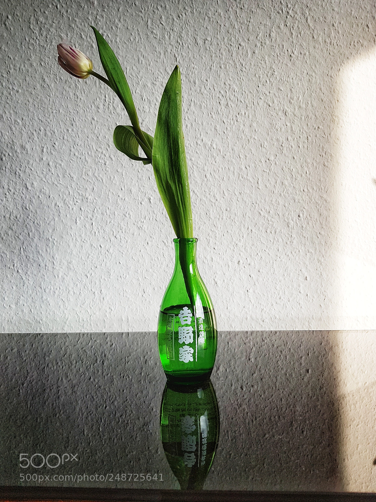 Samsung Galaxy S7 sample photo. Tulip photography