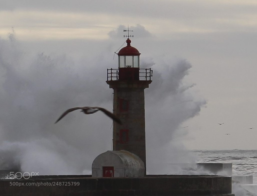 Canon EOS 100D (EOS Rebel SL1 / EOS Kiss X7) sample photo. Farol de fergueiras iii photography
