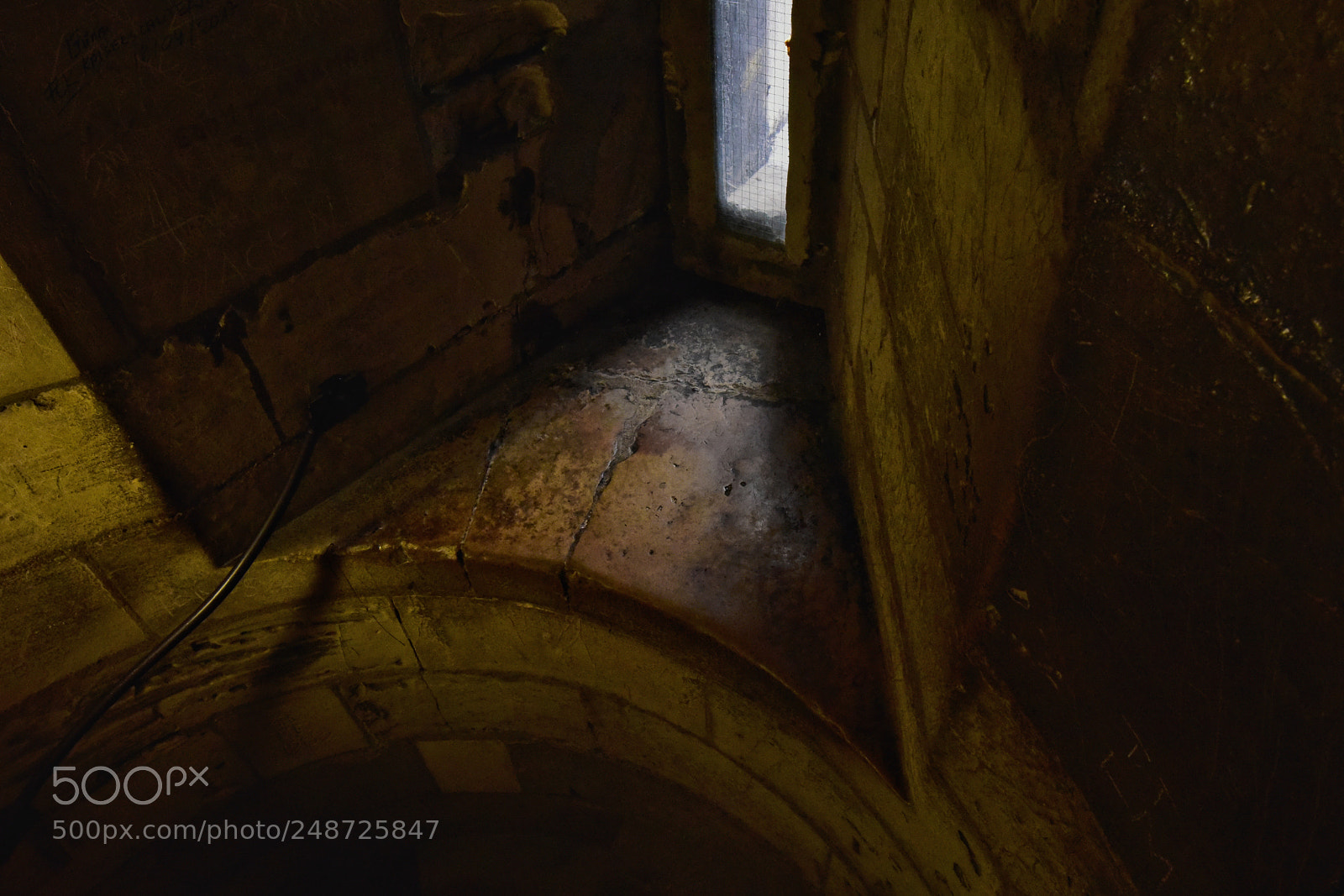 Nikon D810 sample photo. Strength photography