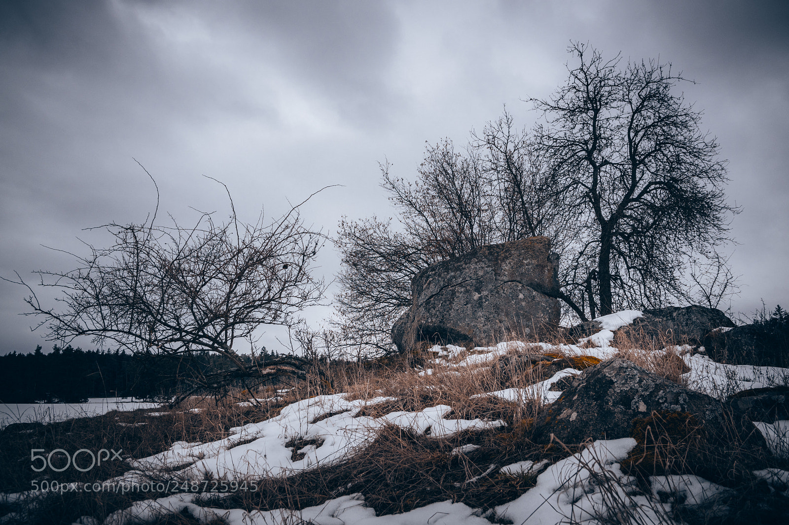 Sony ILCA-77M2 sample photo. Last traces of winter photography