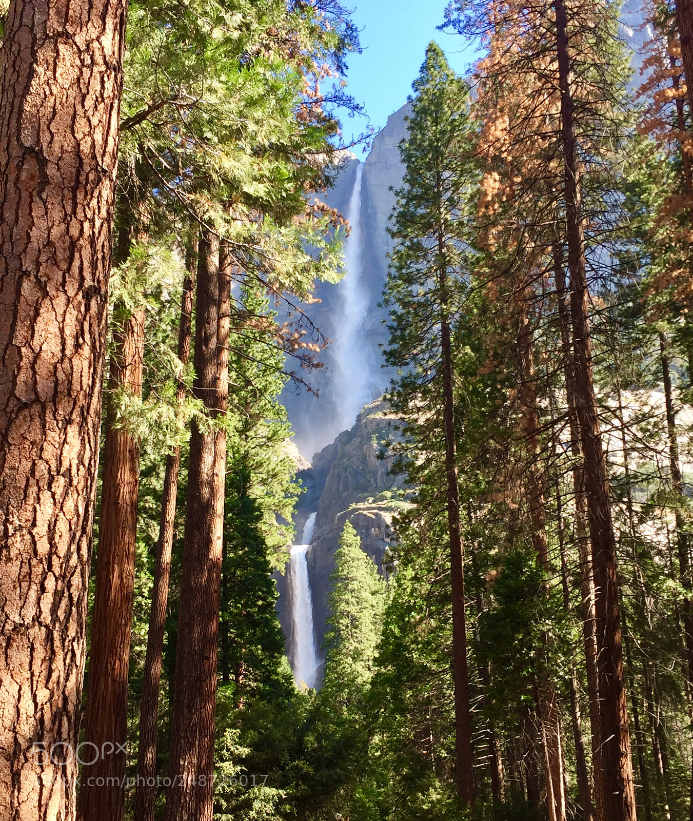Apple iPhone 6 sample photo. Upper and lower yosemite photography