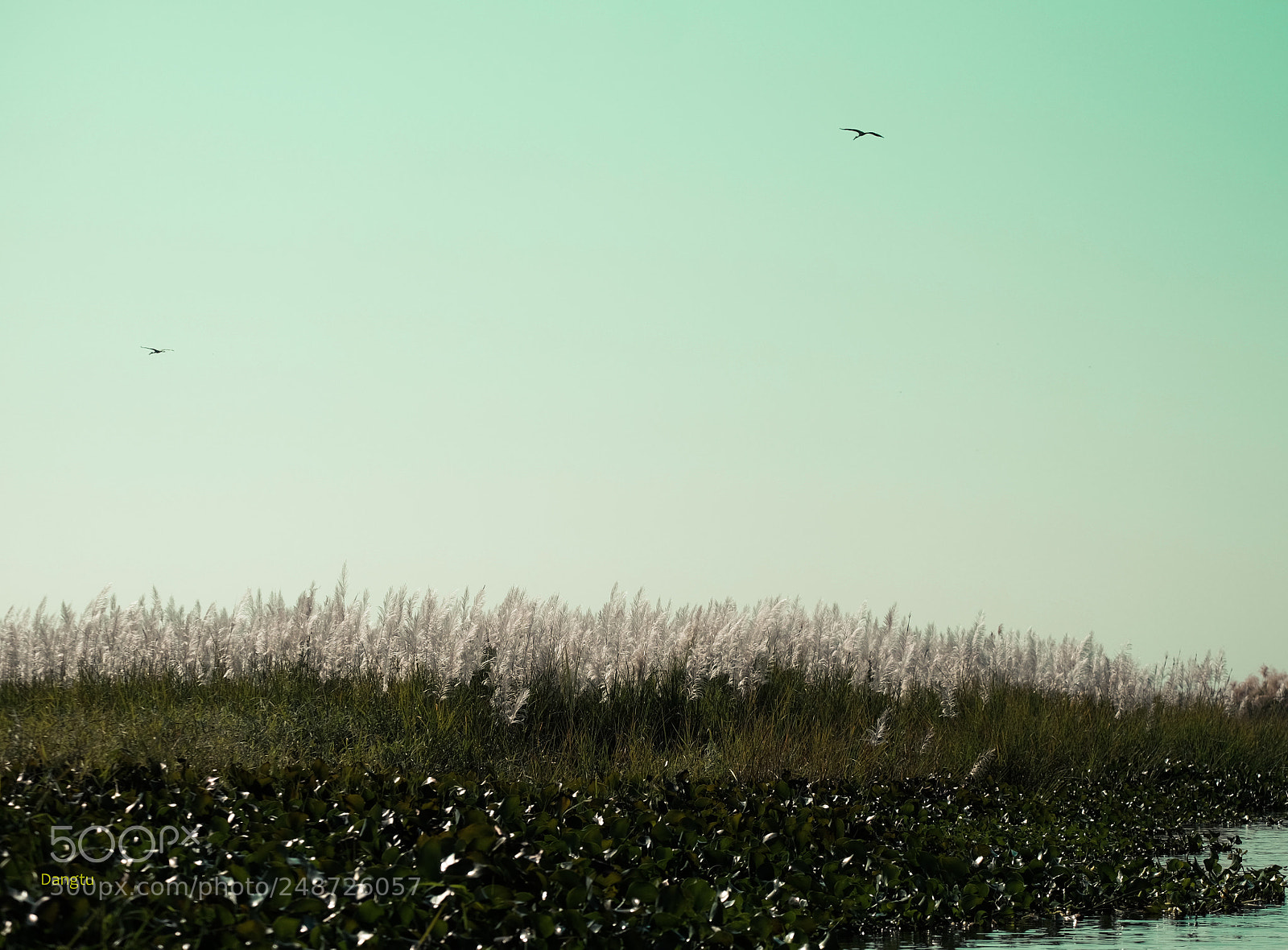 Fujifilm X-T1 sample photo. The sky and the photography