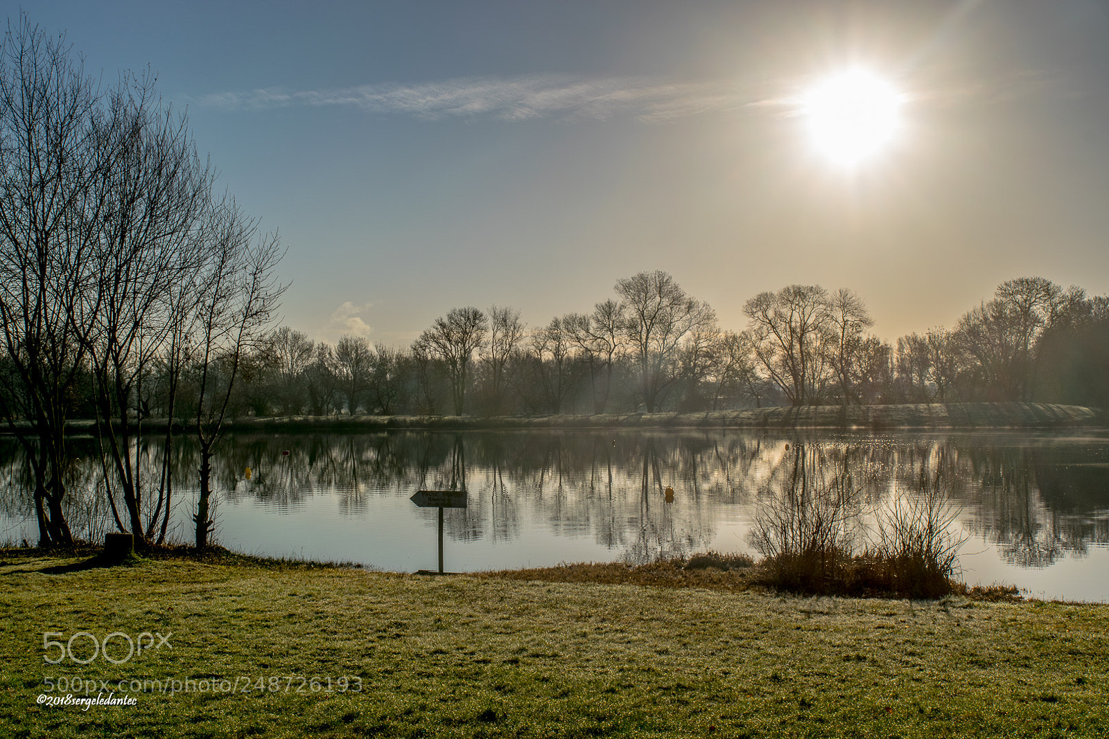 Nikon D5300 sample photo. Matin ensoleillé photography