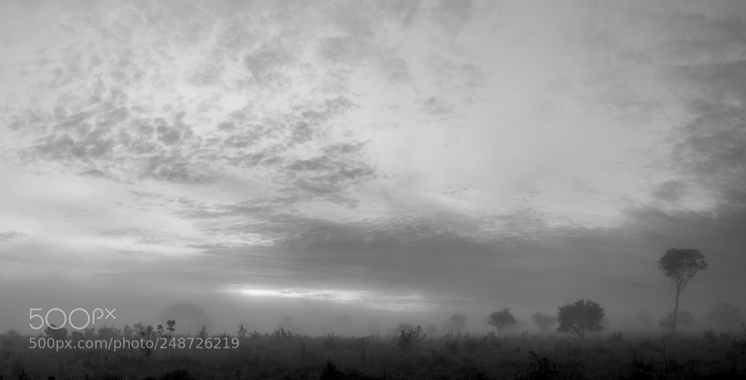 Nikon D3200 sample photo. Amanhecer photography