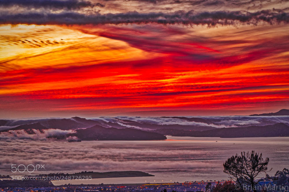 Sony a7R III sample photo. Fog below, sunset above photography
