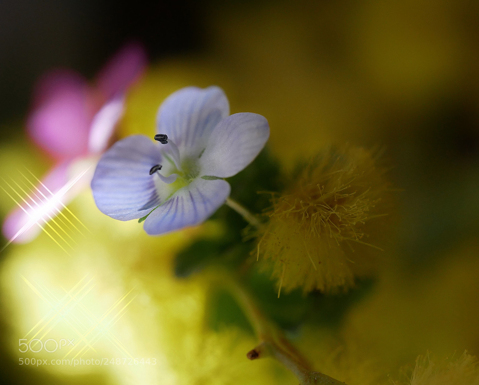 Panasonic Lumix DMC-GX85 (Lumix DMC-GX80 / Lumix DMC-GX7 Mark II) sample photo. .... photography