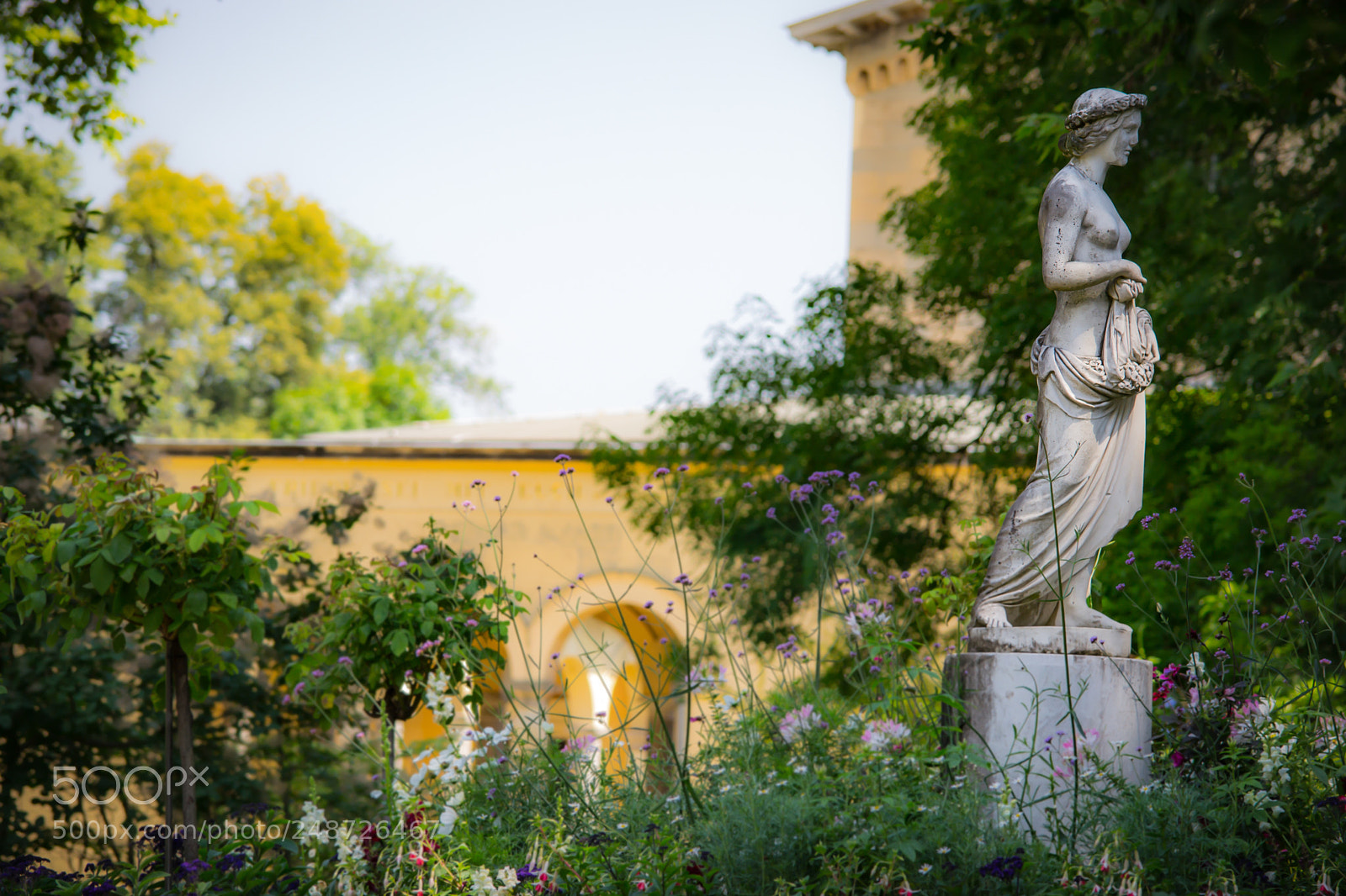 Nikon D3100 sample photo. Schloss sanssouci photography