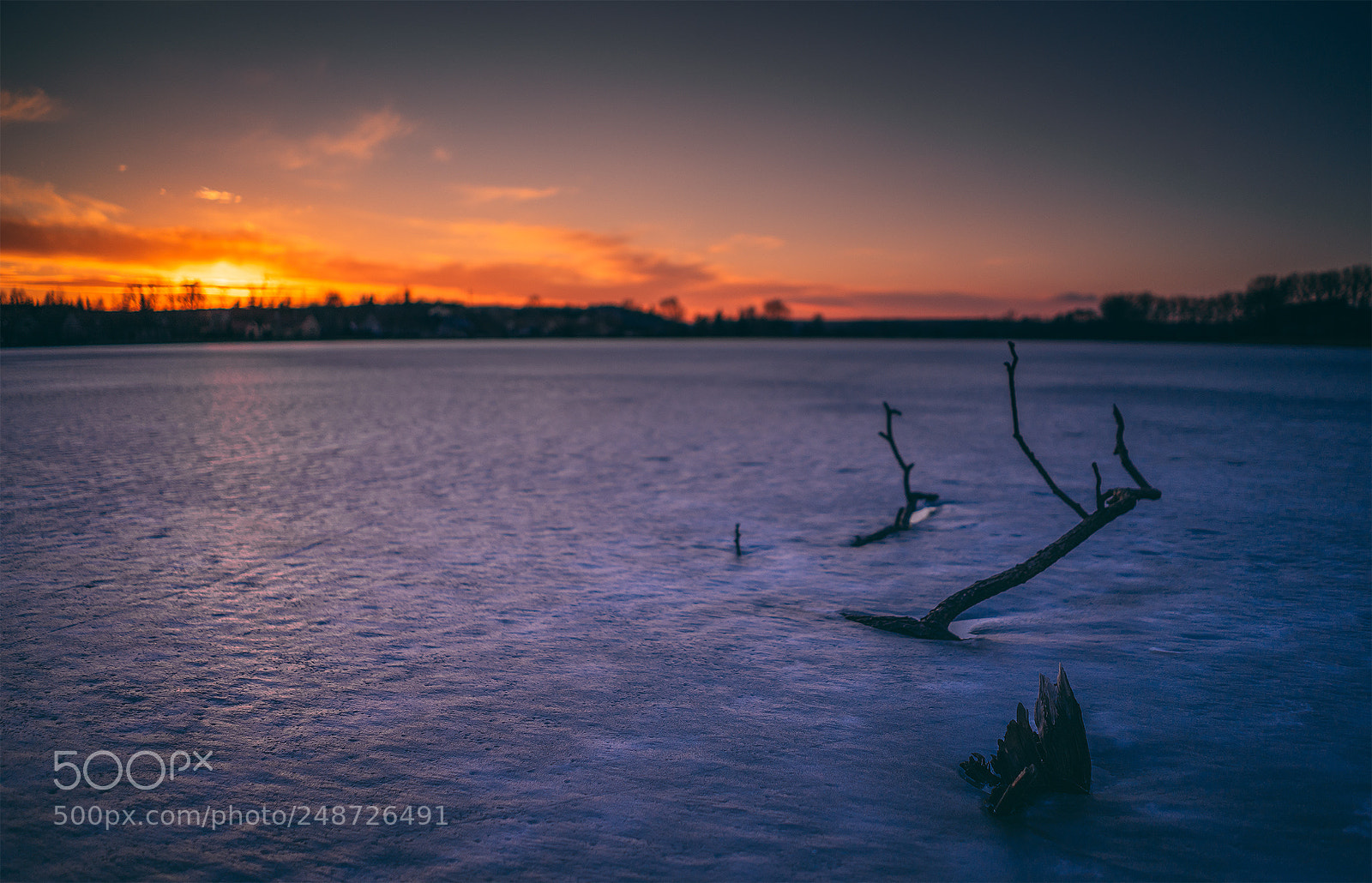 Sony a7 II sample photo. Frozen pond. photography