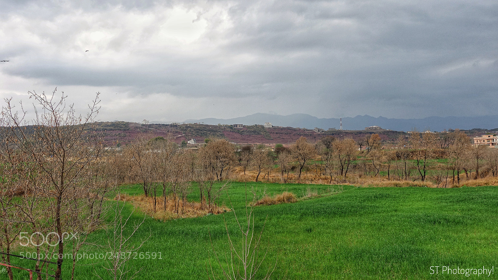 Sony Cyber-shot DSC-RX100 IV sample photo. The colors of nature! photography