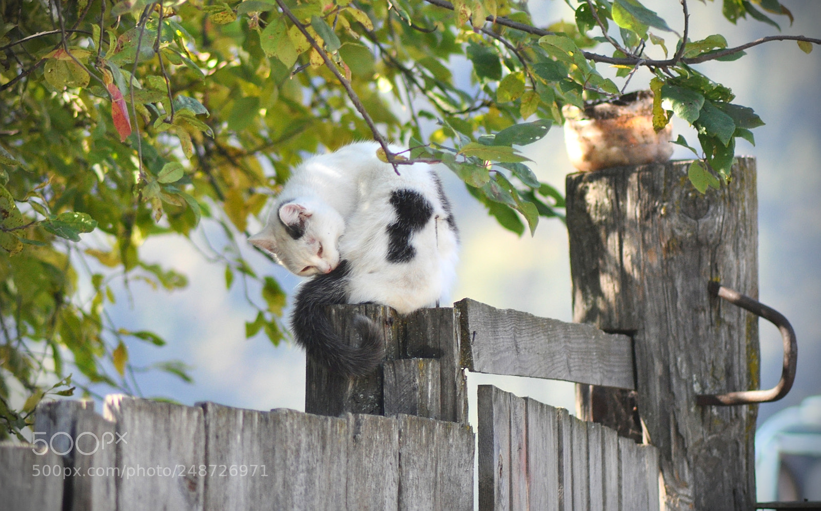 Nikon D90 sample photo. Daily hygiene photography
