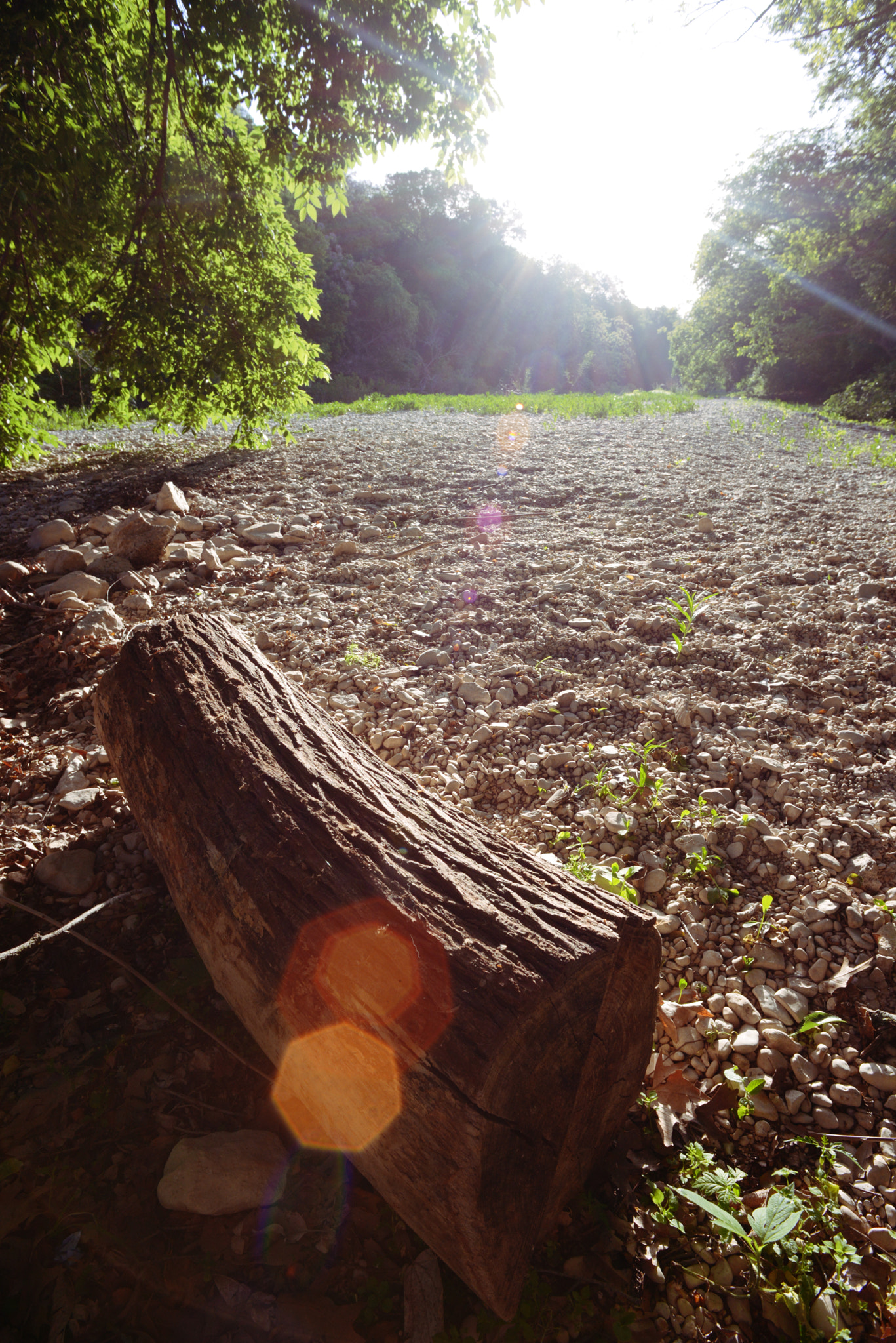 Manual Lens No CPU sample photo. Bright morning photography