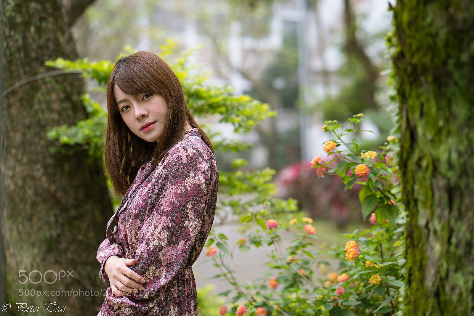 Sony a7R III sample photo. 林若恩 photography