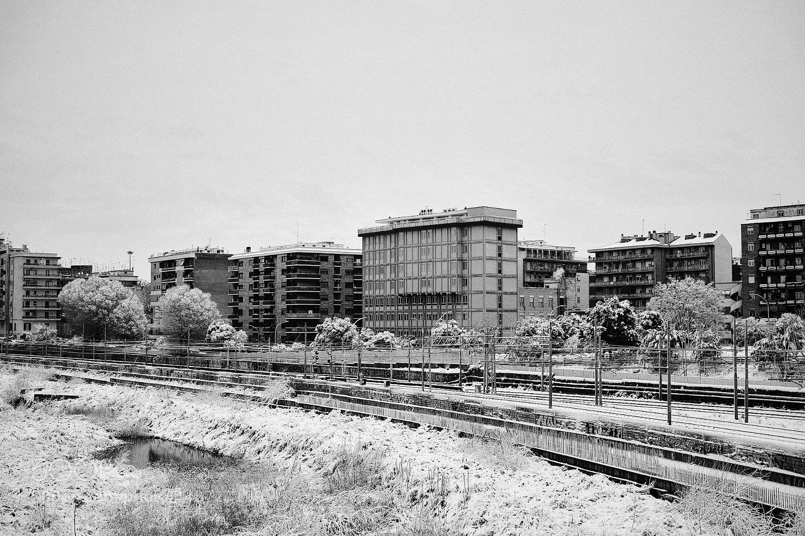 Sigma DP2 Merrill sample photo. Rome, snow. photography